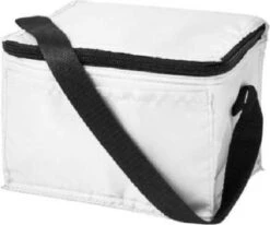 Koeltas - Mini Koeltas - Geschikt Voor 6 Blikjes - Compact Koeltas + 2 Koelelementen - Rheme -Bo-Camp Winkel 1200x1001