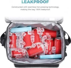 Lifewit 20L Koeltas | 20 Liter | Opvouwbaar | Koelbox-Koeltas | Isolatietas/ Picknicktas Voor Levensmiddelen / Grijs -Bo-Camp Winkel 1200x1153