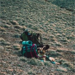 LOWLAND OUTDOOR® Donzen Slaapzak - Super Compact Blanket - 210 X 80 Cm - 590gr +8°C -Bo-Camp Winkel 1200x1196 5