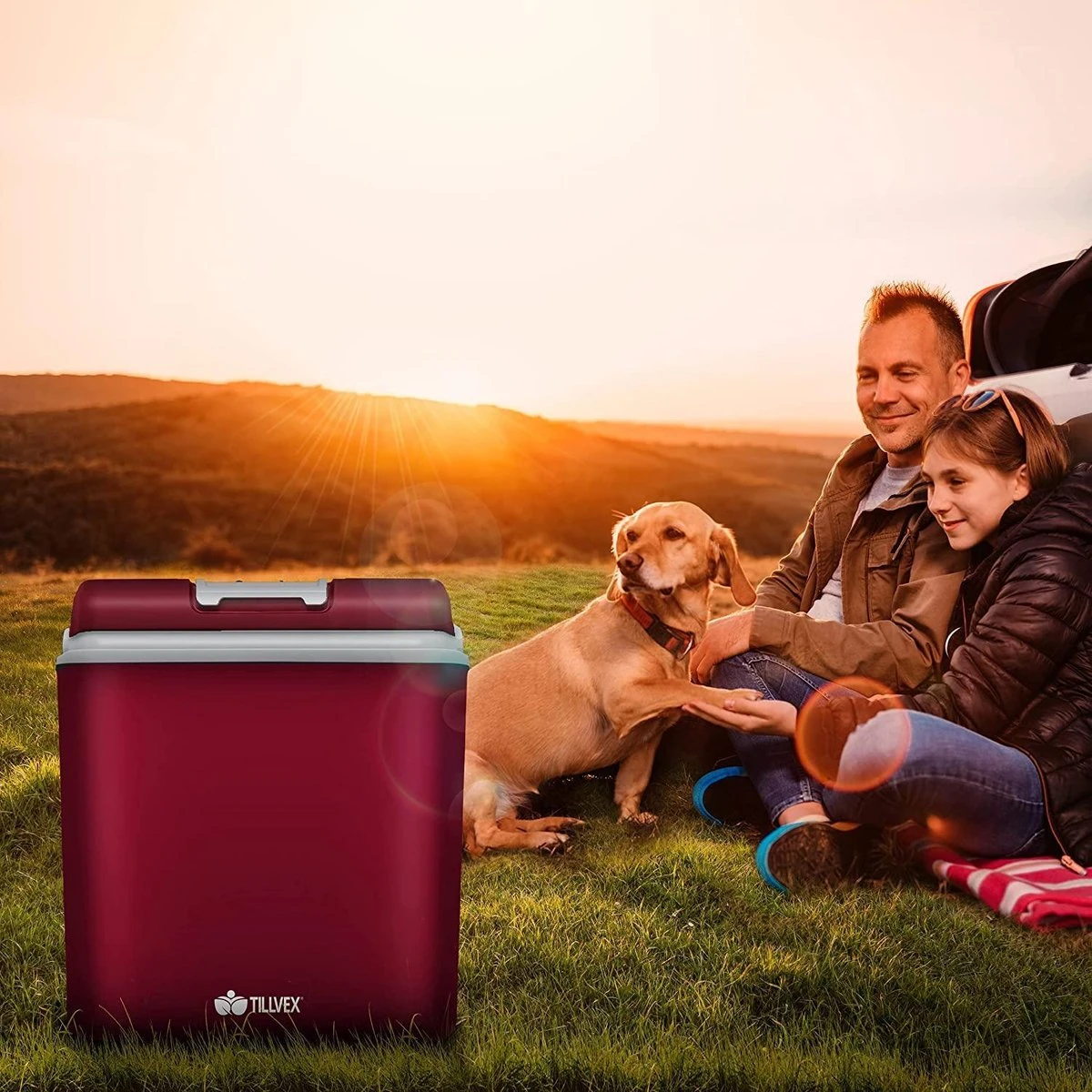 Tillvex- Koelbox, Coolbox, 24 Liter, Rood 4 Tillvex- Koelbox, Coolbox, 24 Liter, Rood - Afbeelding 4