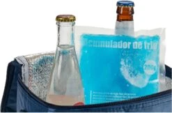 Arte R Koelelementen/icepacks - Herbruikbaar - 15 X 13 X 2 Cm 7 Arte R Koelelementen/icepacks - Herbruikbaar - 15 X 13 X 2 Cm -Bo-Camp Winkel 1200x789